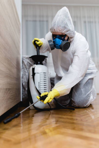 Best Bed Bug Extermination  in Big Rapids, MI